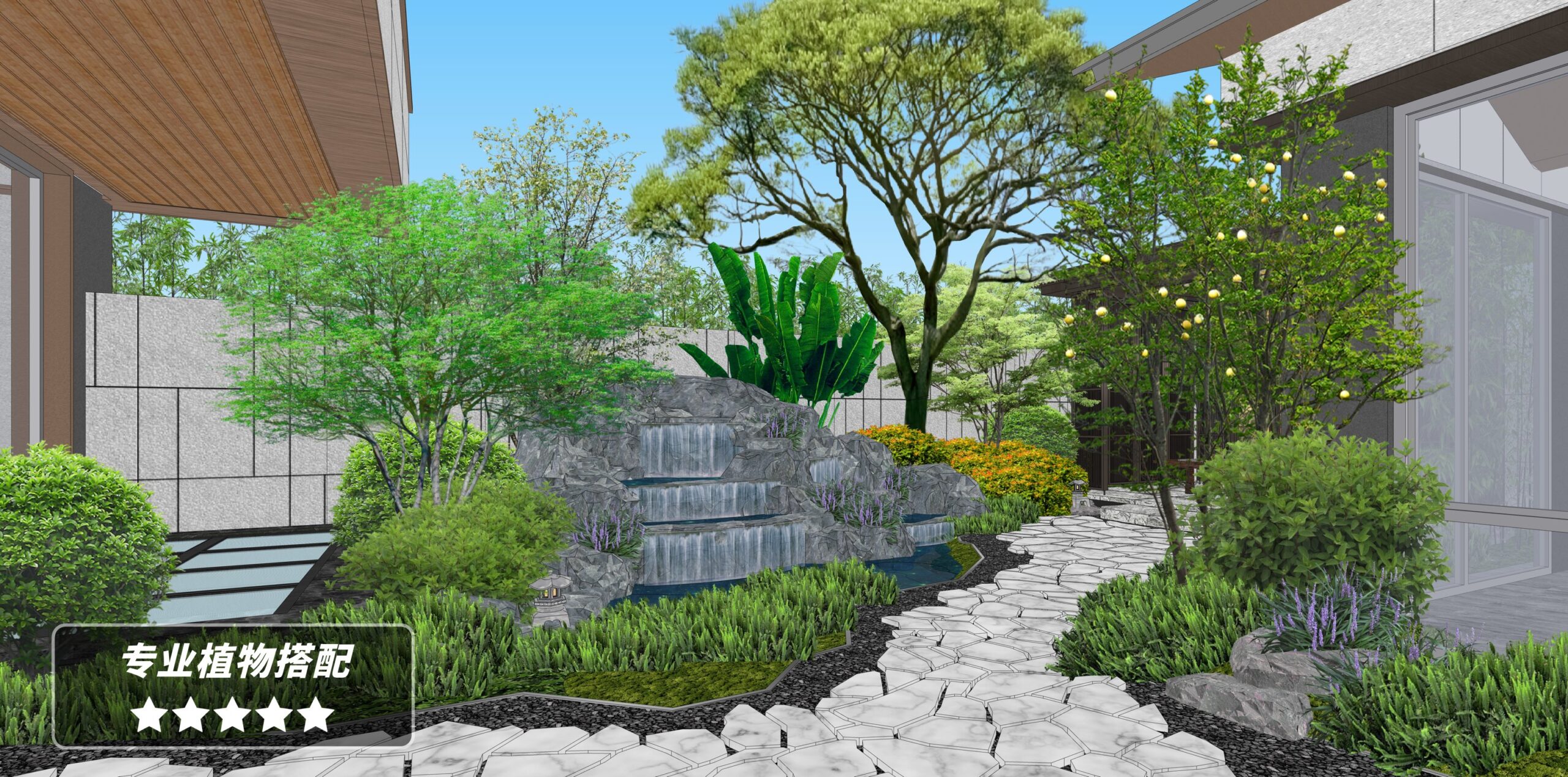 专业植物搭配