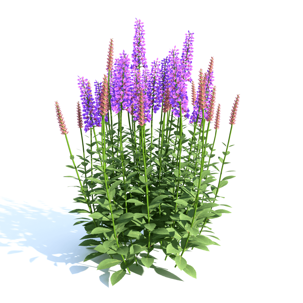 02_0089_00_Thumbnail