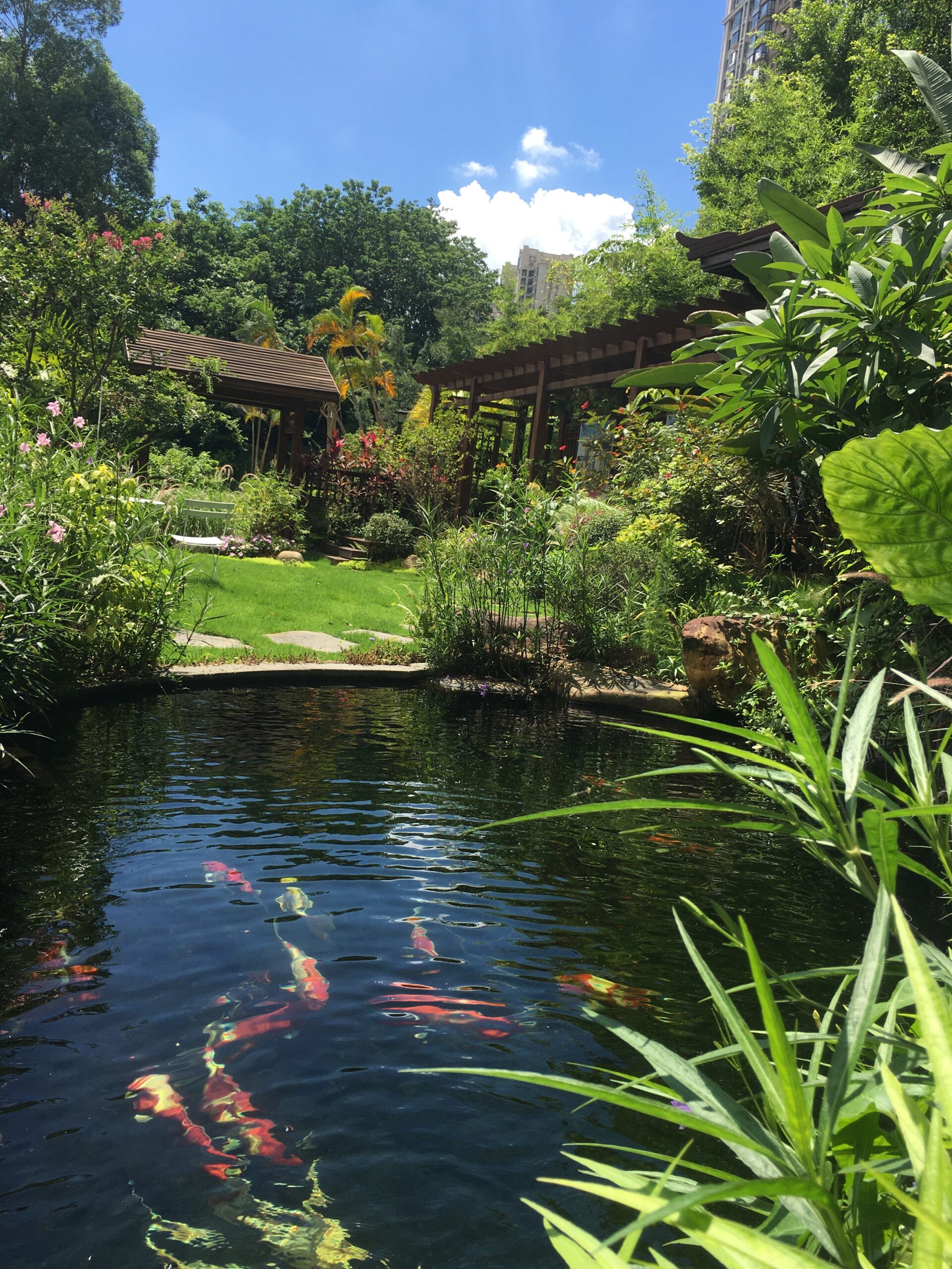 3004fe5ff0538d99b61812c7af6fe51