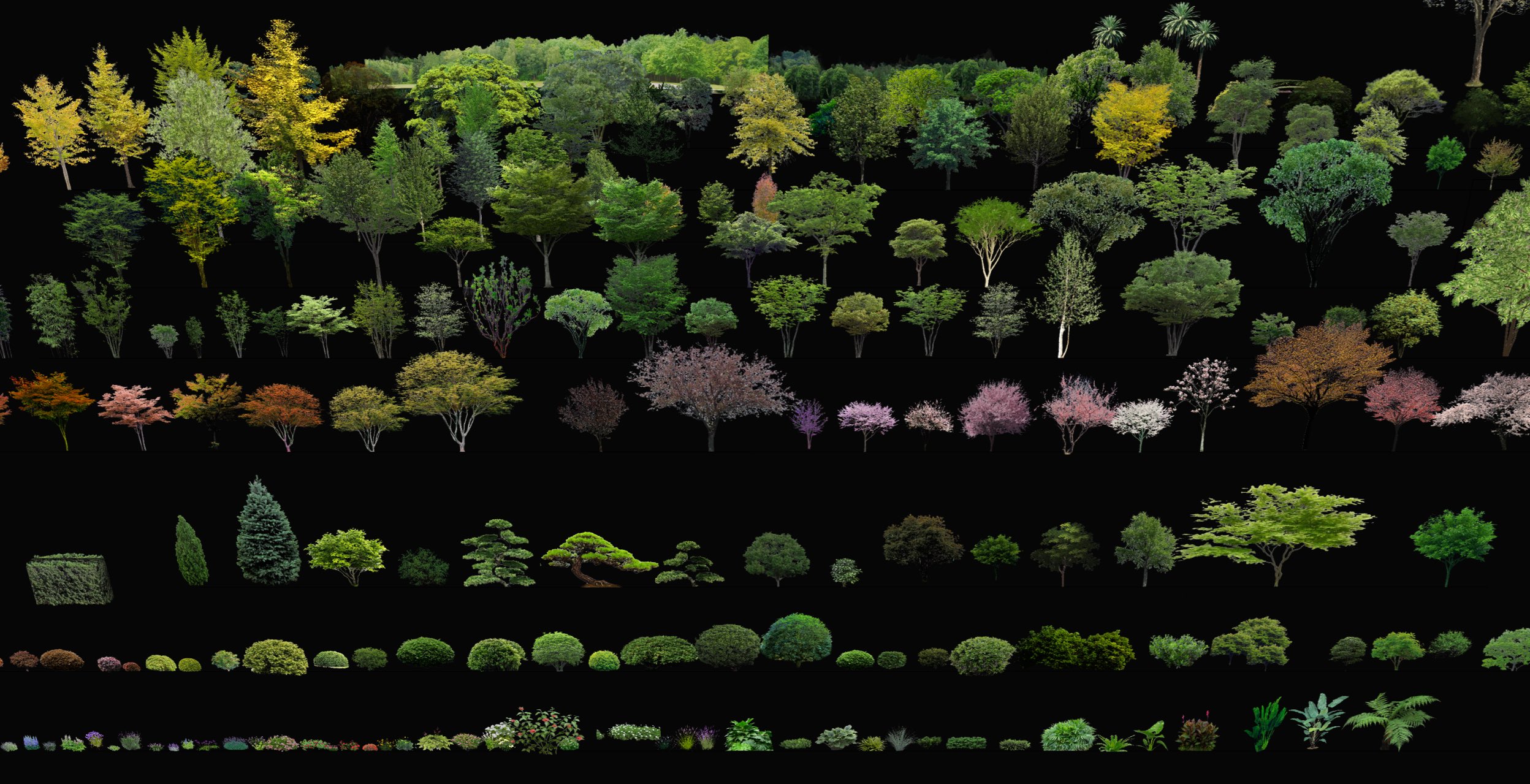 SU-2D方案植物库