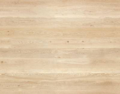 ash-5fc4cb2f0d6d2-400